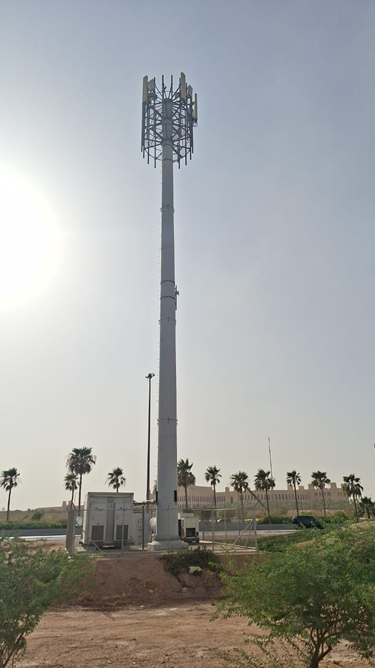 Monopoles
